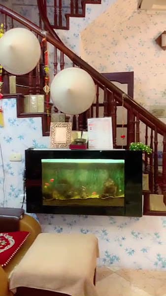Hình ảnh treviet spa - 5