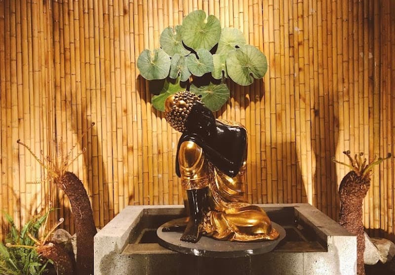 Hình ảnh Van Anh Luxury Clinic & Garden Spa - 2