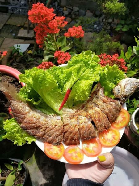 Hình ảnh Mỹ An Quán Như Ý - 3