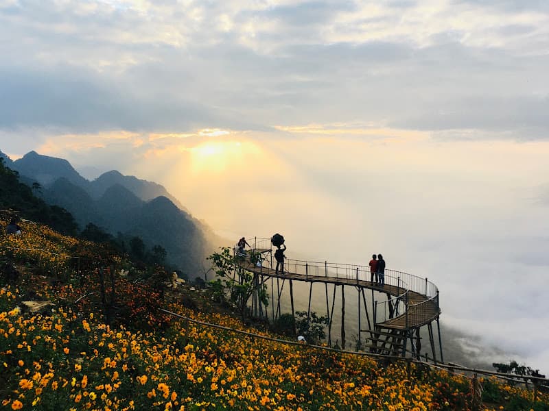 Hình ảnh Tẩm Quất Vân Hoa - 5
