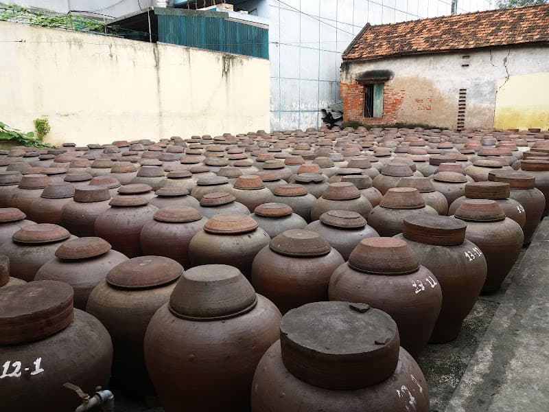 Hình ảnh Tương bần Minh Quất - 3