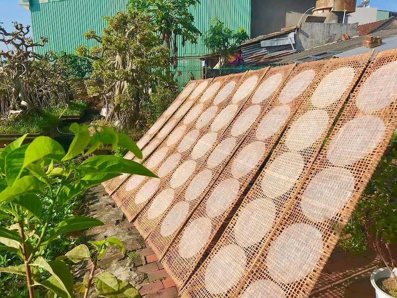 Hình ảnh Bánh tráng Cô Liên - 2