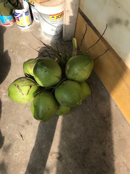 Hình ảnh Nhà Hàng Ánh Tuyết - 4