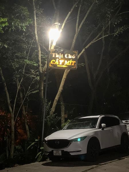 Hình ảnh Thịt chó Cây mít - 3