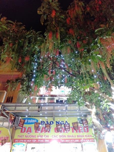 Hình ảnh Nhà hàng Đảo Nga - 2