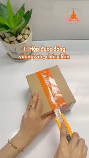 Hình ảnh Hàng Thái Chính Hãng - 2