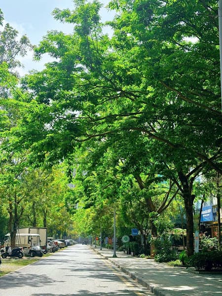 Hình ảnh MinT Foundation - 2