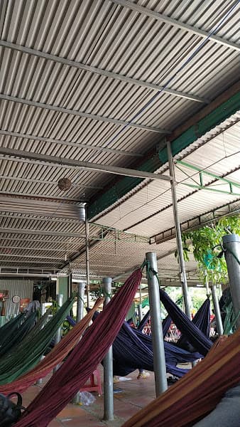 Hình ảnh Bánh Tráng - 3