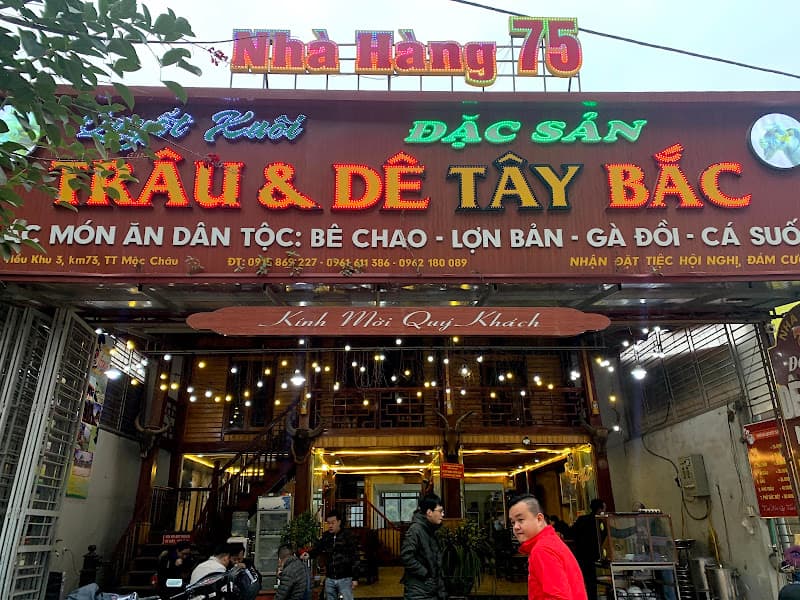 Hình ảnh Trâu 75 Tây Bắc Quyết Xuôi - 3