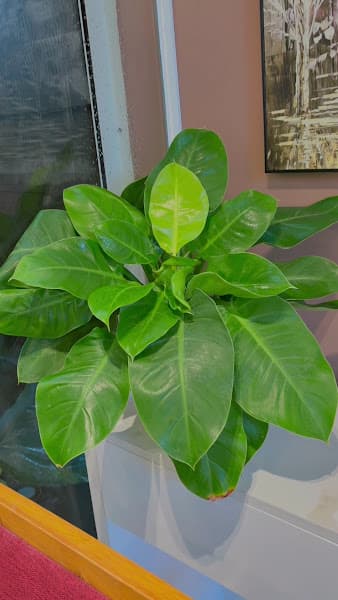 Hình ảnh Regal Healthy Spa - 4