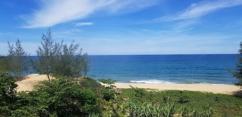 Hình ảnh Quan an Thanh Lan, Sa Huynh, Quang Ngai - 6