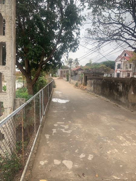 Hình ảnh Tẩm quất ngọc thiện - 3