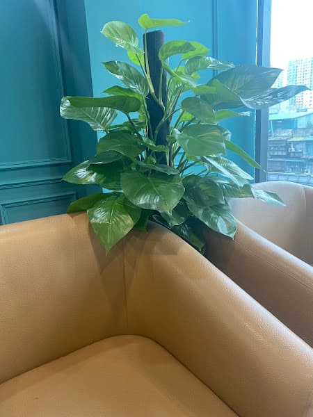 Hình ảnh Venesa Trần Nguyên Hãn - 3