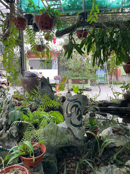 Hình ảnh Cafe Mộc Lan - 3