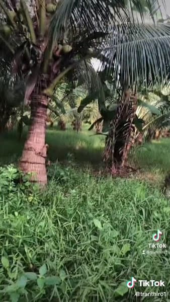 Hình ảnh Massage Hải Long - 2