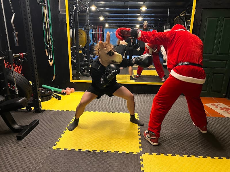 Hình ảnh Fansipan Boxing Club - 4
