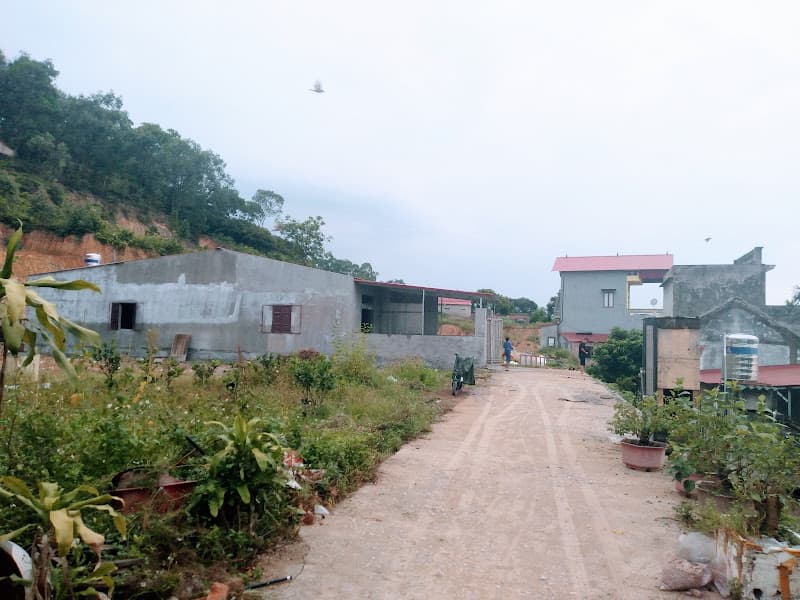 Hình ảnh Mát xa dưỡng sinh trị liệu - 2
