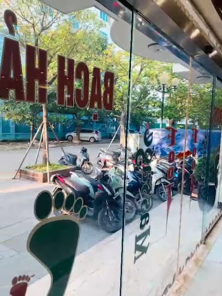 Hình ảnh Massage Chân Bạch Hải Đường - 4