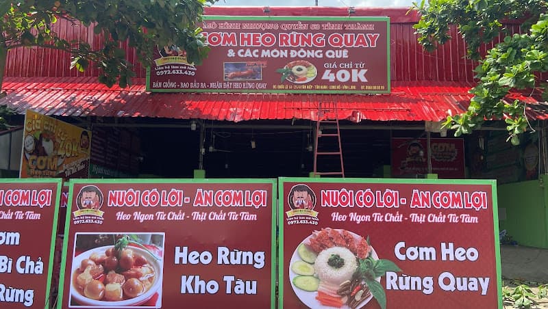 Ảnh bìa Cơm Heo Rừng