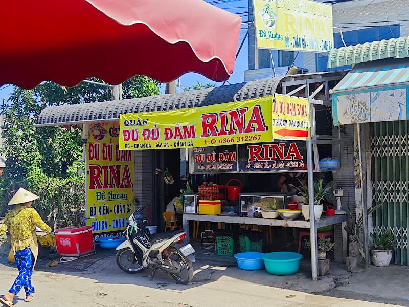 Ảnh bìa Đu đủ đâm RINA