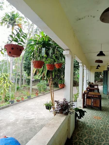 Hình ảnh Bún đậu mắm tôm Phù Ninh - 3