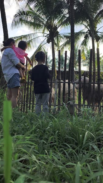 Hình ảnh Trang Trại Sinh Thái Phong Phú Garden - 3