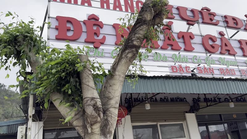 Hình ảnh NHÀ HÀNG HUỆ ĐÀ ĐỆ NHẤT GÀ NƯỚNG CS1 - 5