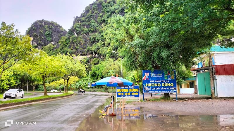 Hình ảnh Nhà Hàng Hương Rừng - 2