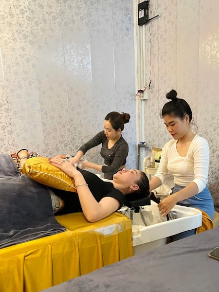 Hình ảnh Ngựa Spa - 3