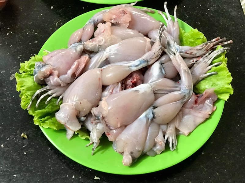Hình ảnh Lẩu Ếch Kinh Bắc - 4