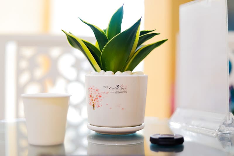 Hình ảnh Thu Cúc Clinics Bắc Ninh - 2