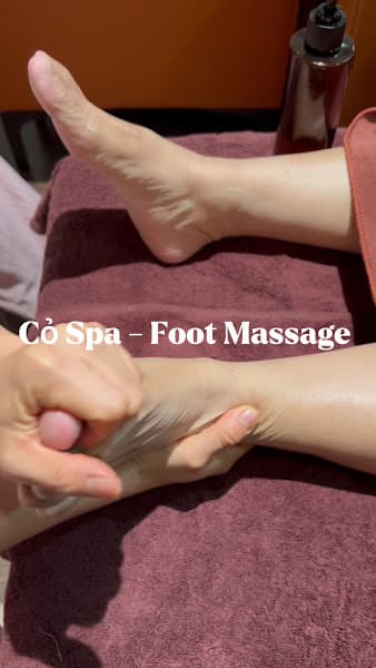 Hình ảnh Cỏ Spa - 2