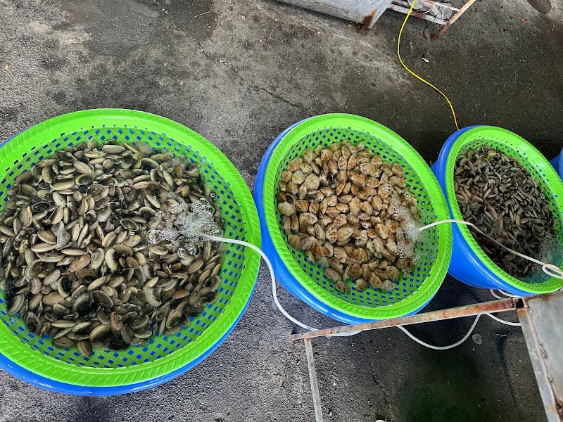 Hình ảnh Ốc Đặc Biệt 290 - 2