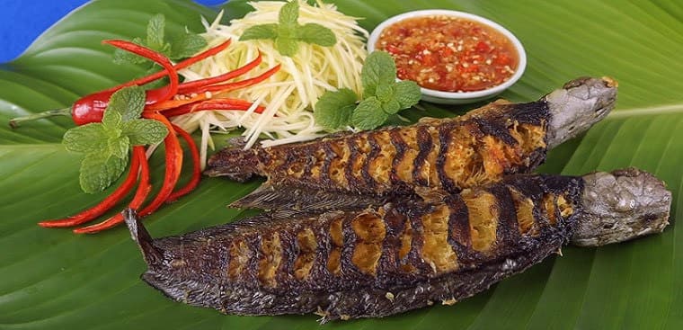 Hình ảnh Sông Quê Quán - 2