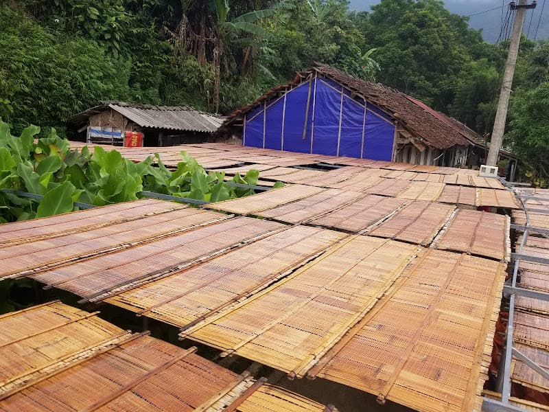 Hình ảnh Hạ Nụ - Đặc Sản Miến Dong Mỏ Thiếc - 5