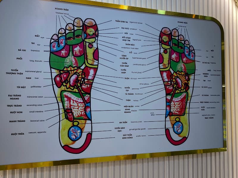 Hình ảnh Foot Massage SỨC KHOẺ 379 - 10