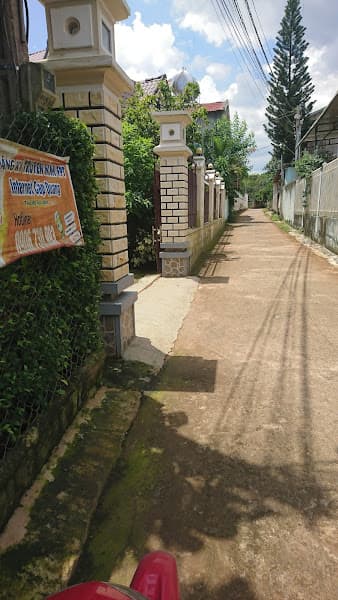 Hình ảnh Bánh tráng Bảo Hòa - 5