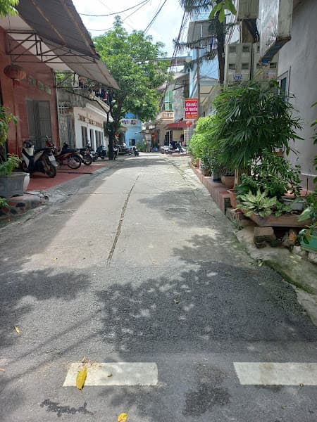 Hình ảnh Tẩm quất người mù Xuân Bắc - 2