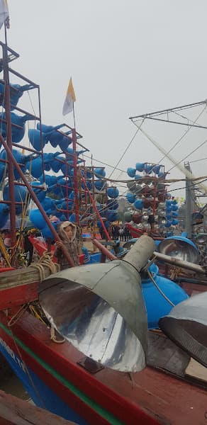 Hình ảnh Nước Mắm Ba Làng Tươi Dương - 2
