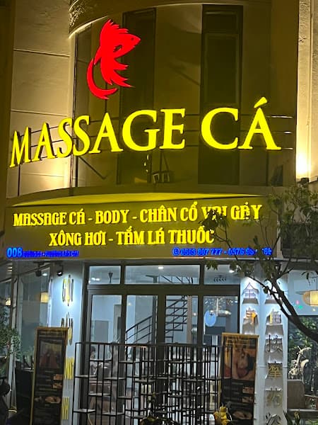 Hình ảnh Massage Cá - 2