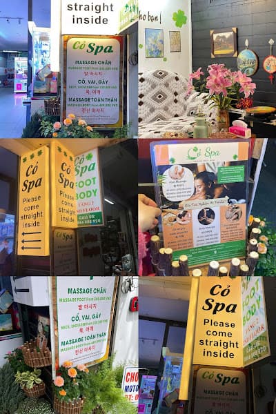 Ảnh bìa Cỏ Spa