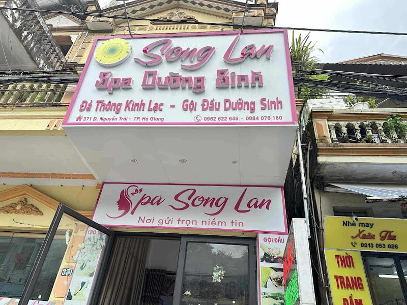 Ảnh bìa Dưỡng Sinh Song Lan 369 Nguyễn Trãi