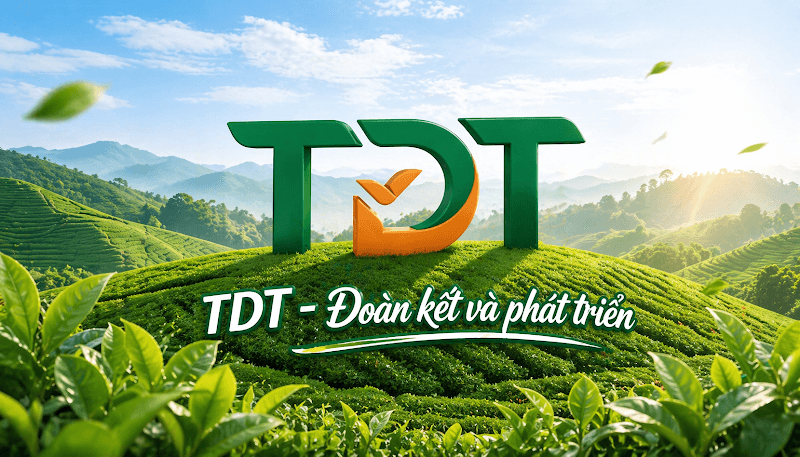 Ảnh bìa CHI NHÁNH MAY TDT ĐẠI TỪ