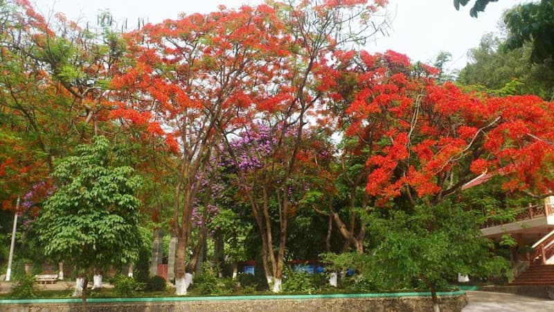 Hình ảnh Nghĩa trang Liệt sỹ Nhà Tù Sơn La - 2