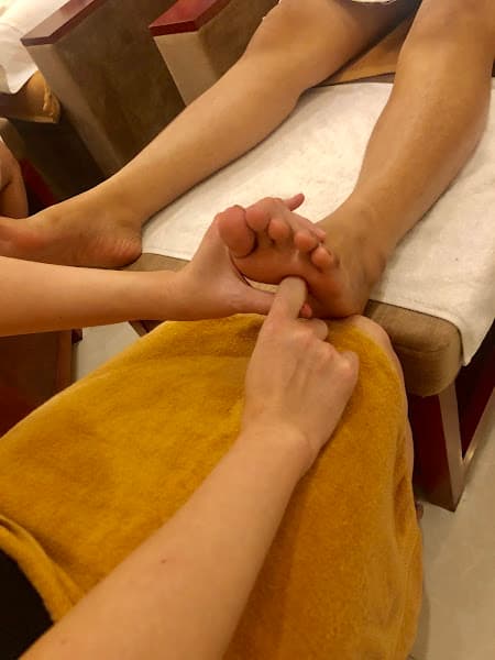 Hình ảnh Cat an foot massage - 5