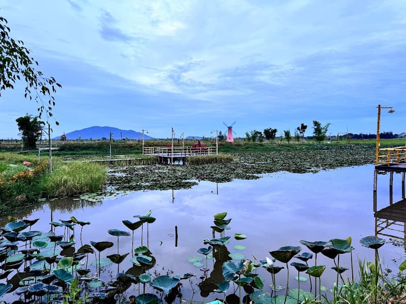 Hình ảnh THÔN TRANG LIÊN NHẬT - 3