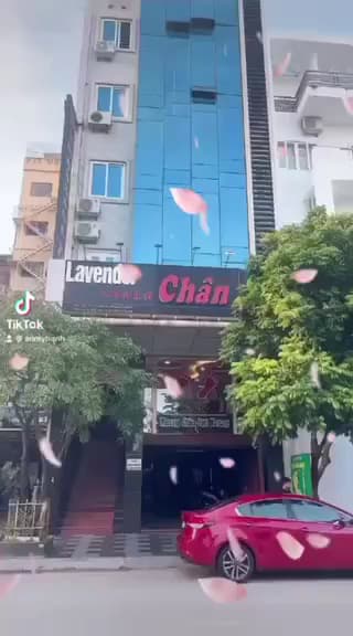 Hình ảnh Foot massage lavender - 3
