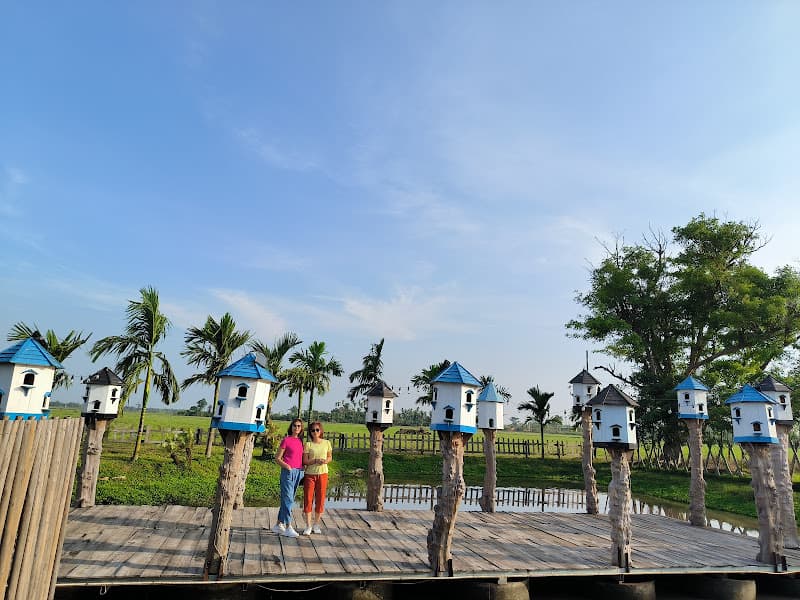 Hình ảnh BỒ CÂU FARM - 3