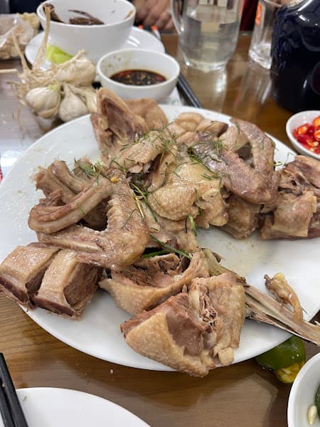 Hình ảnh Chim Trời Hùng Cò Đầu Trọc - 4