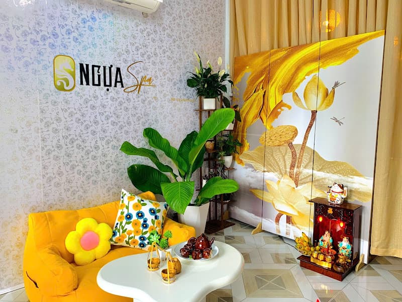 Ảnh bìa Ngựa Spa